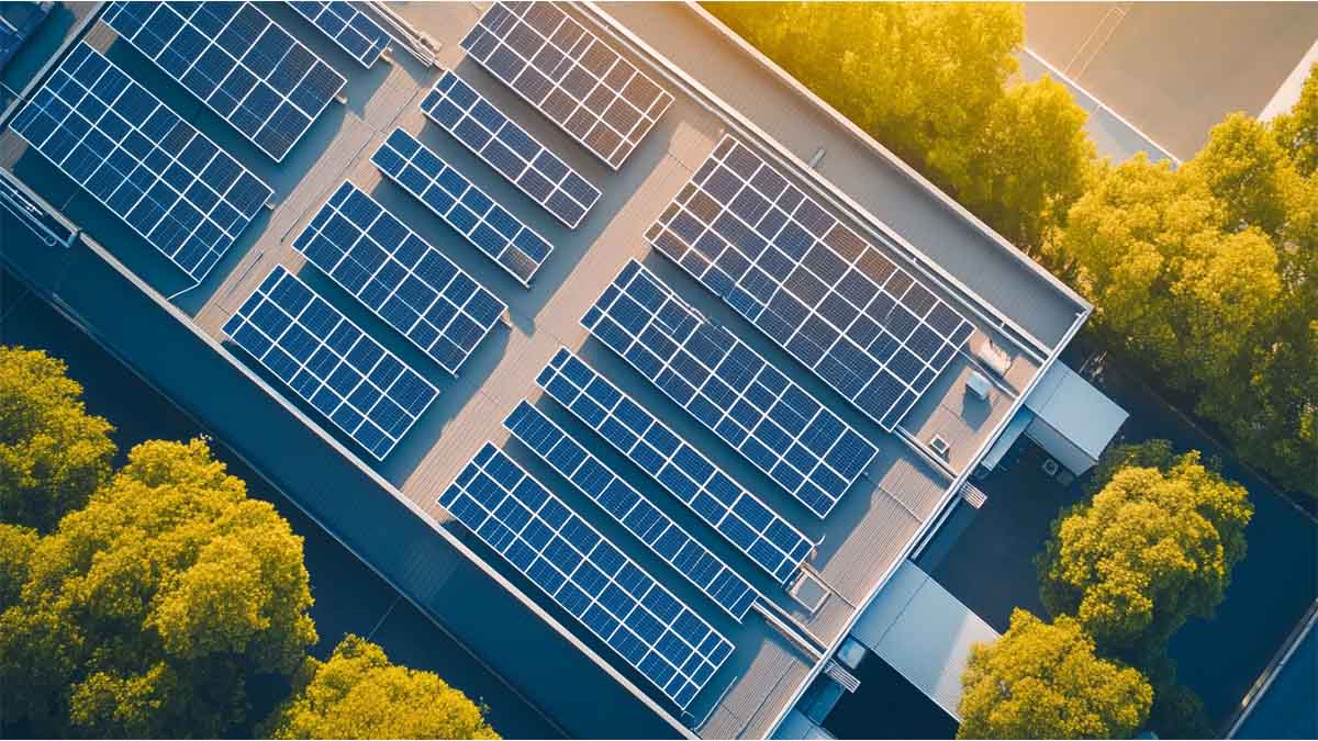 Workersbee lancia un sistema di energia solare sul tetto per supportare la produzione sostenibile